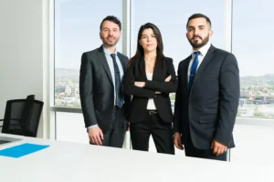 BDA Partnerships