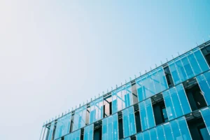 business development standards applied in organisations for structured growth and strategy alignment