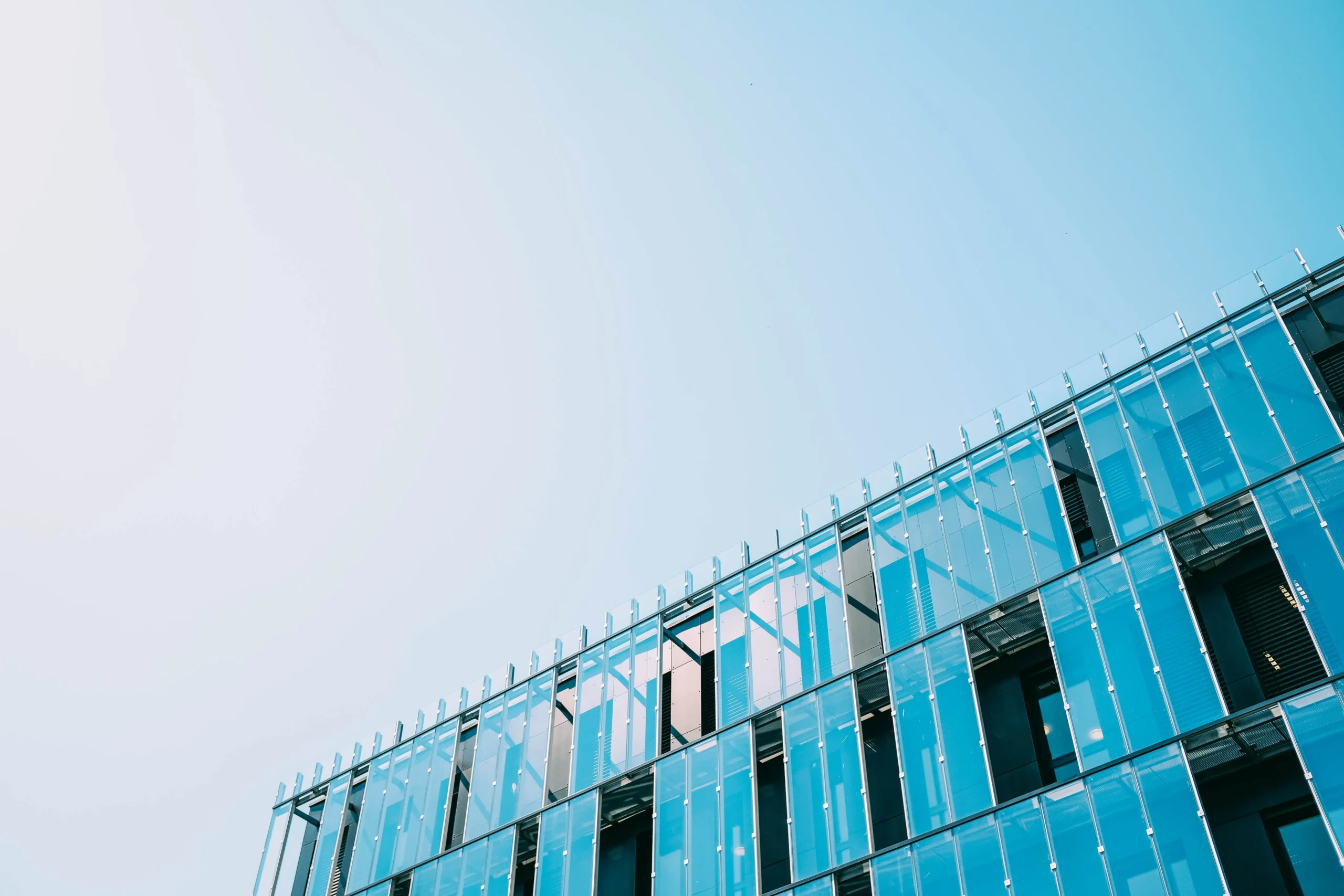 business development standards applied in organisations for structured growth and strategy alignment