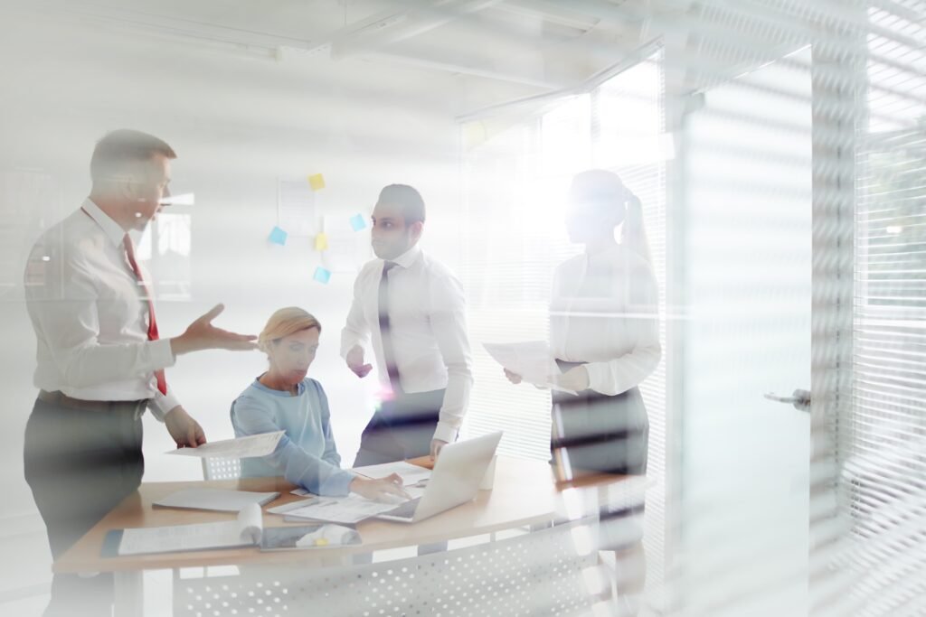 Business Development Capability Audit