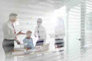 Business Development Capability Audit